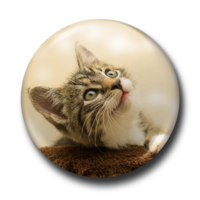Beispill vun engem Badge aus engem Bild