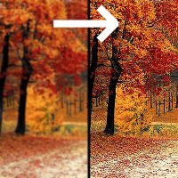 Fix Blurry Photo(Sharpen the outline of objects)