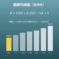 基礎代謝量計算機