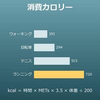 消費カロリー計算機