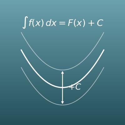 不定積分計算機（多項式・sin・cos・eˣ・1/x）
