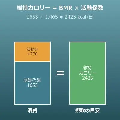 カロリー計算機（1日の維持カロリーと減量・増量プラン）
