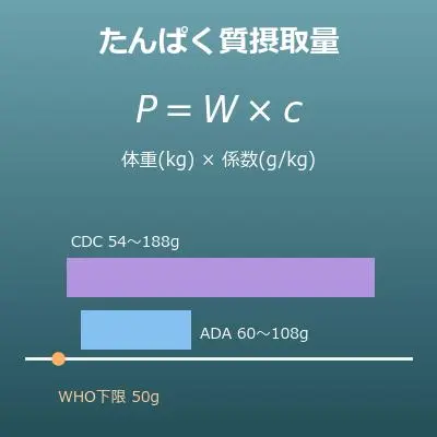 たんぱく質摂取量計算機（1日に必要なたんぱく質の目安）