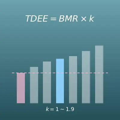 TDEE計算機（1日の総消費エネルギー量と活動係数の選び方）