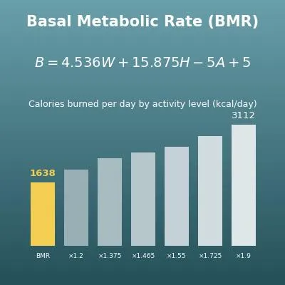 BMR Calculator (Basal Metabolic Rate and Daily Calories by Activity Level)