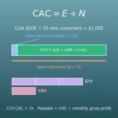 Customer Acquisition Cost (CAC) Calculator with LTV:CAC Ratio and Payback Period