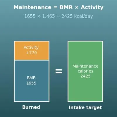 Calorie Calculator (Maintenance Calories and Weight Loss or Gain Plans)