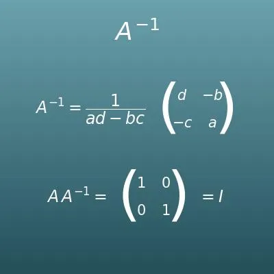 Inverse Matrix Calculator (2×2, 3×3, 4×4)