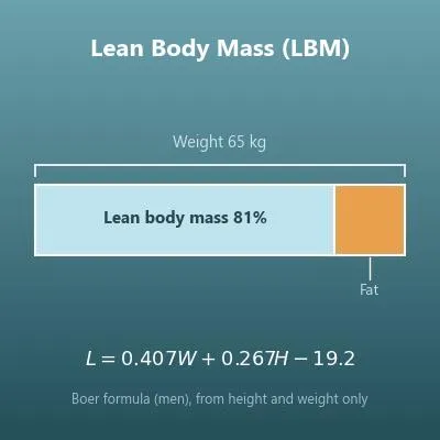 Lean Body Mass Calculator (LBM from Height and Weight with Three Formulas)