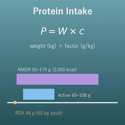 Protein Calculator (How Much Protein Do I Need per Day?)