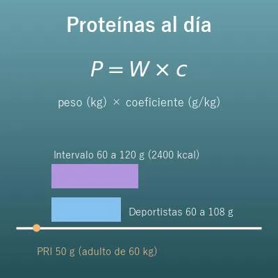 Calculadora de proteínas diarias (cuántas proteínas necesitas al día)