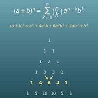 Formule du binôme de Newton (développement, coefficient d’un terme, triangle de Pascal)