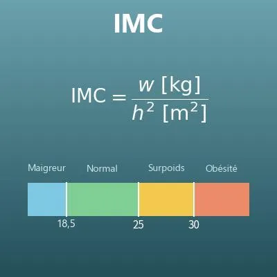 Calcul de l’IMC (indice de masse corporelle) et du poids normal