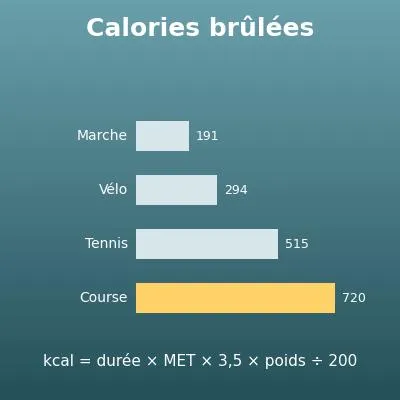 Calcul des calories brûlées (marche, course, ménage… par la méthode MET)