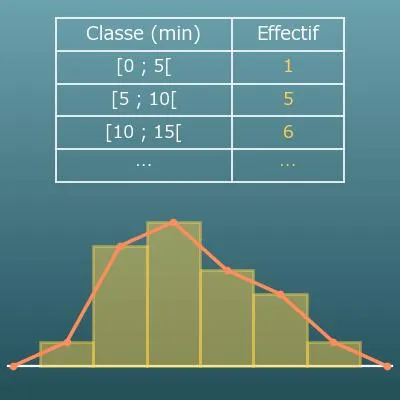 Tableau des effectifs et des fréquences (effectifs cumulés, histogramme)