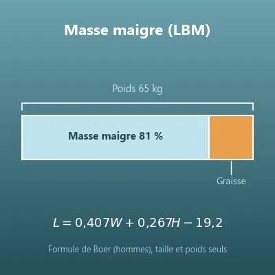 Calcul de la masse maigre (LBM) à partir de la taille et du poids, avec 3 formules