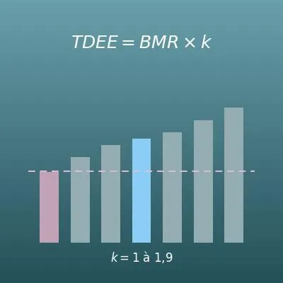 Calcul du TDEE (dépense énergétique totale par jour) et choix du coefficient d’activité