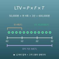 LTV 계산기(고객생애가치·쇼핑몰형/구독형·역산)