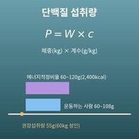 단백질 섭취량 계산기(하루에 필요한 단백질의 양)