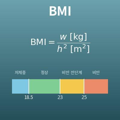 BMI 계산기(체질량지수·비만도·표준체중)