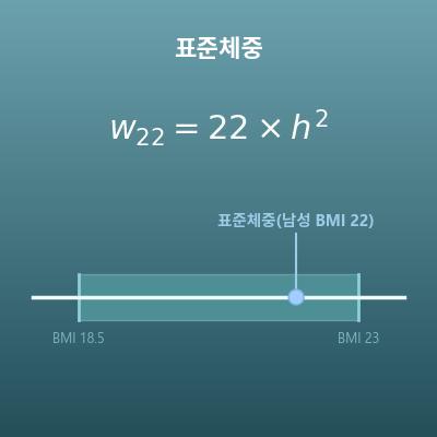표준체중 계산기(이상체중·정상 체중 범위)
