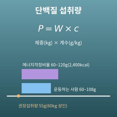 단백질 섭취량 계산기(하루에 필요한 단백질의 양)