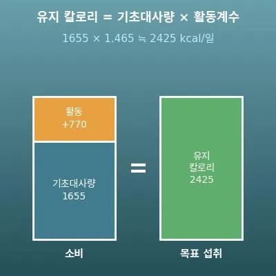 칼로리 계산기(하루 유지 칼로리·감량·증량 계획)