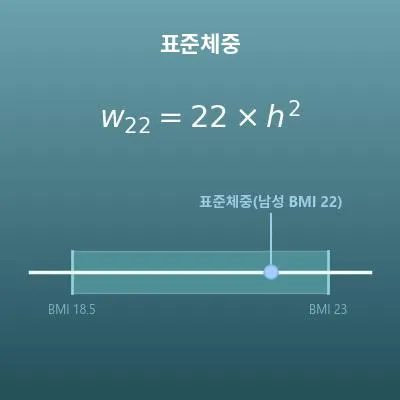 표준체중 계산기(이상체중·정상 체중 범위)