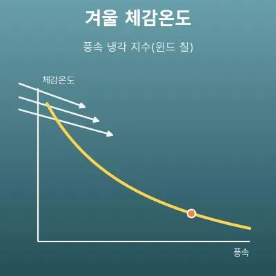 겨울 체감온도 계산기(풍속 냉각 지수)