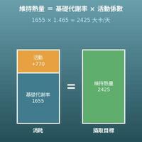 熱量計算機（每日維持熱量與減重、增重計畫）