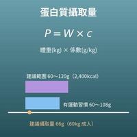 蛋白質攝取量計算機（一天需要多少蛋白質）