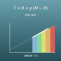 目標心跳率計算機（各運動強度區間的心跳率、Karvonen 公式）