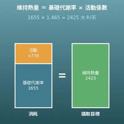 熱量計算機（每日維持熱量與減重、增重計畫）