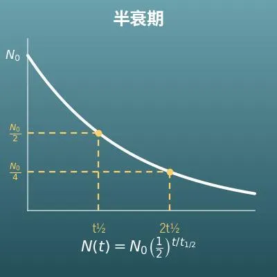 半衰期計算機（初始量、剩餘量、經過時間、半衰期反推）